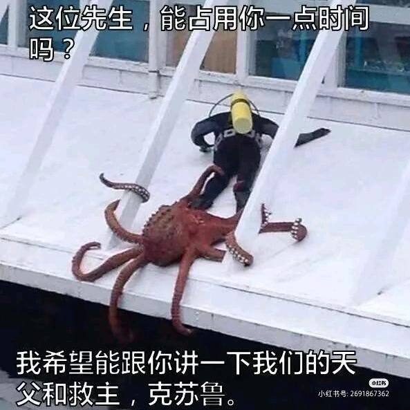 甜口云朵贩卖员