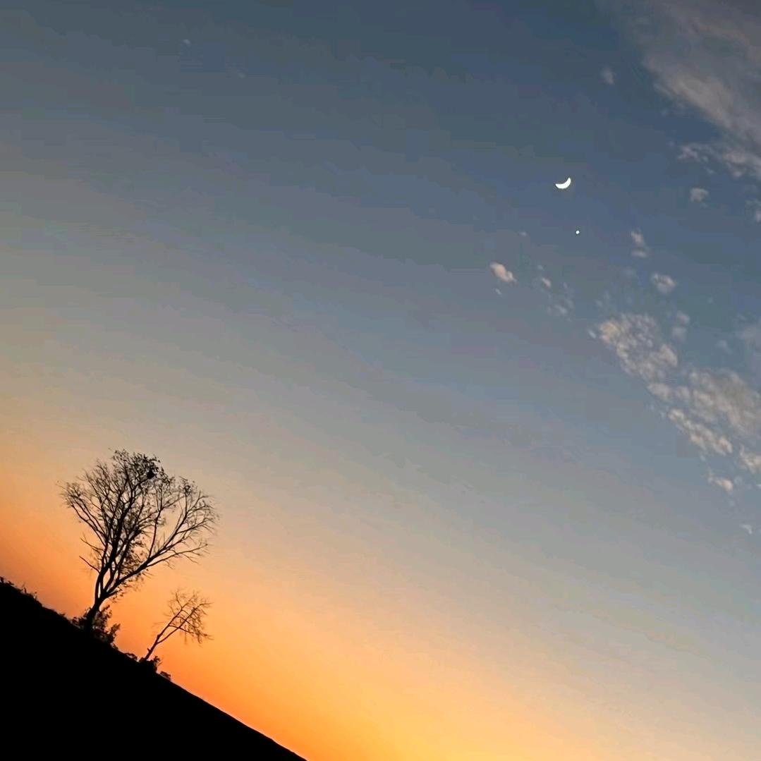 淡饭粗茶是清欢