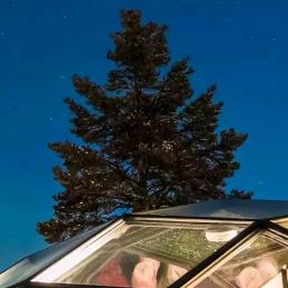 王2025-2030年2030年后更改)