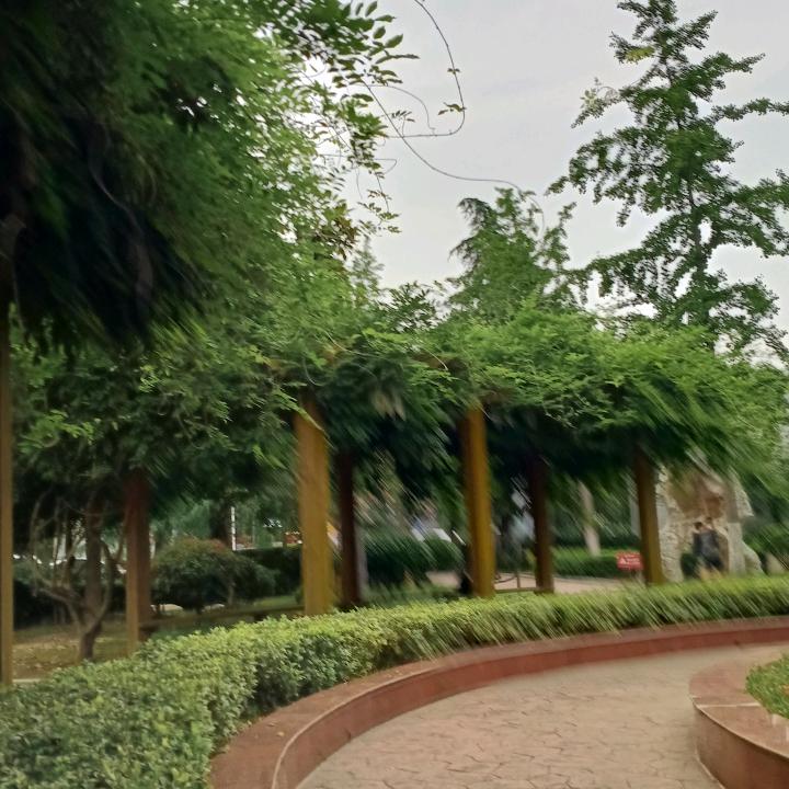用户9240519856488