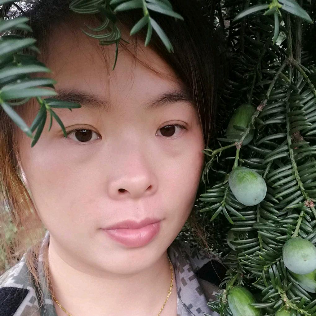 飞（榧）姐