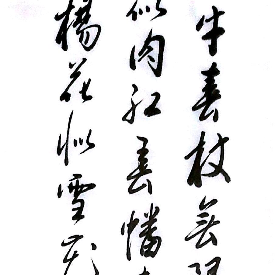 罗绍录书法