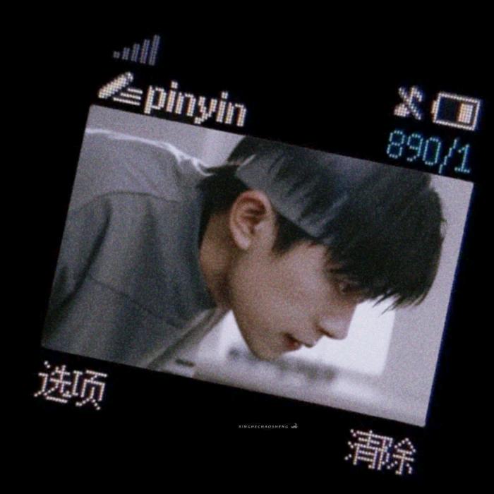碳水荔枝