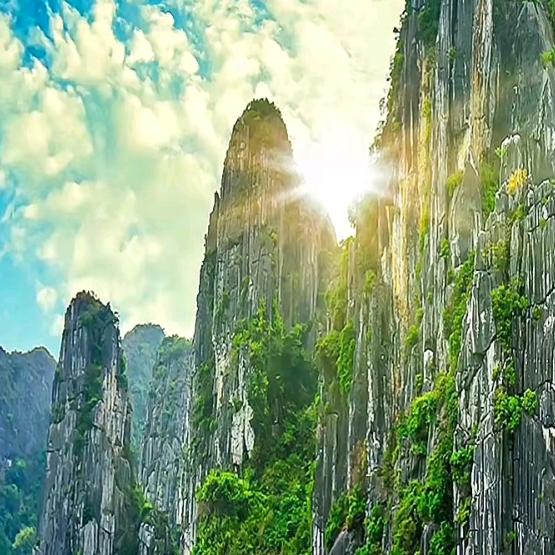 单枪匹马