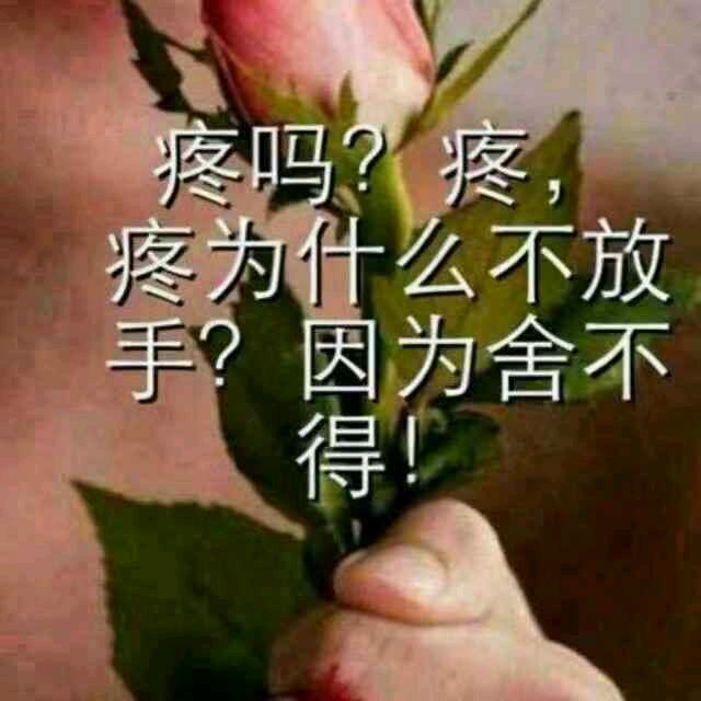 飞天🇨🇳💯
