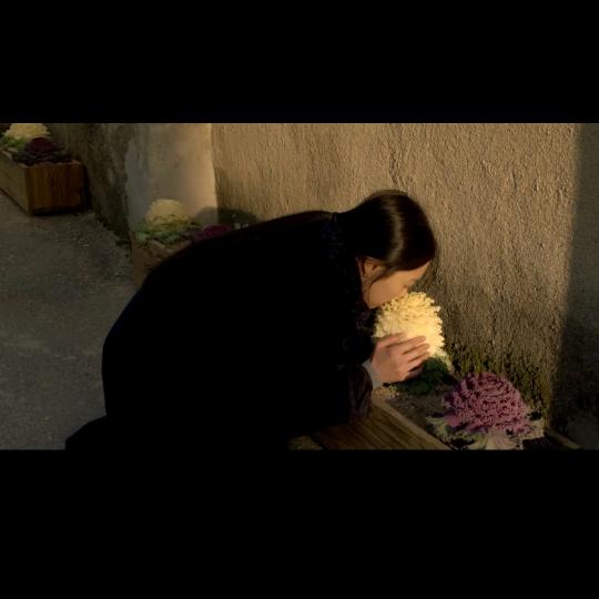 小鸭说尬尬尬🦆