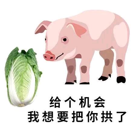 笑渡🐰ྀི余生