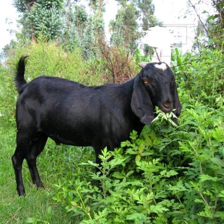 通信应急抢修工程