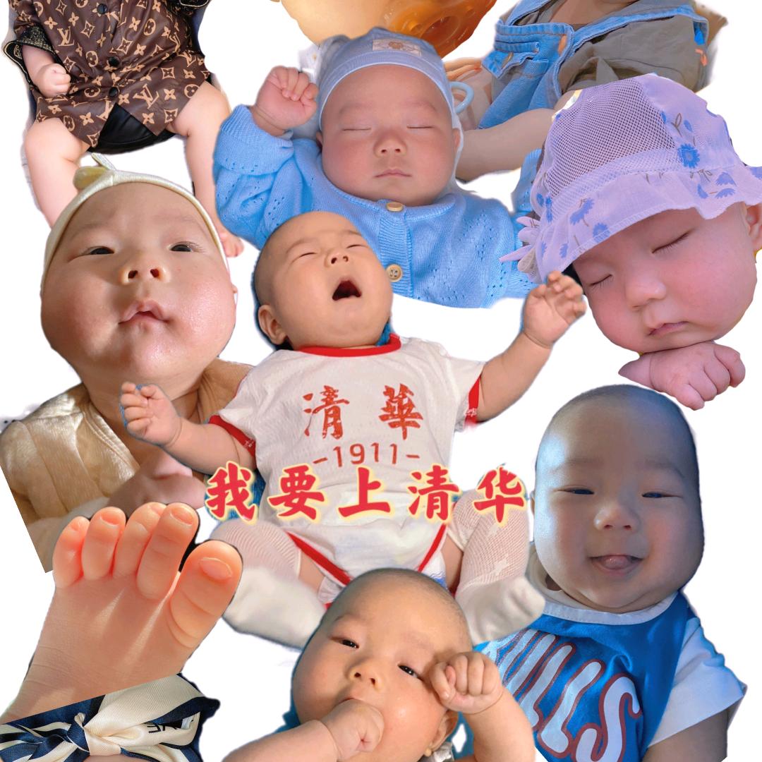 大蔡