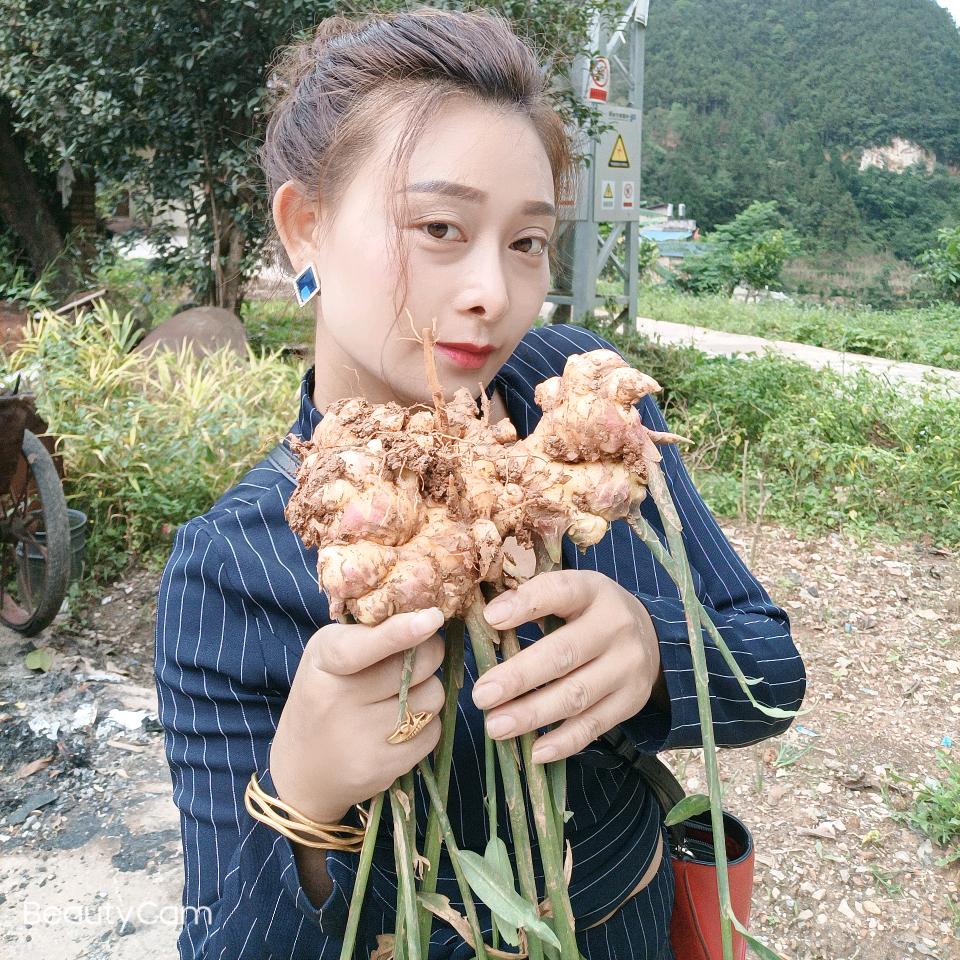 云南小姜妹