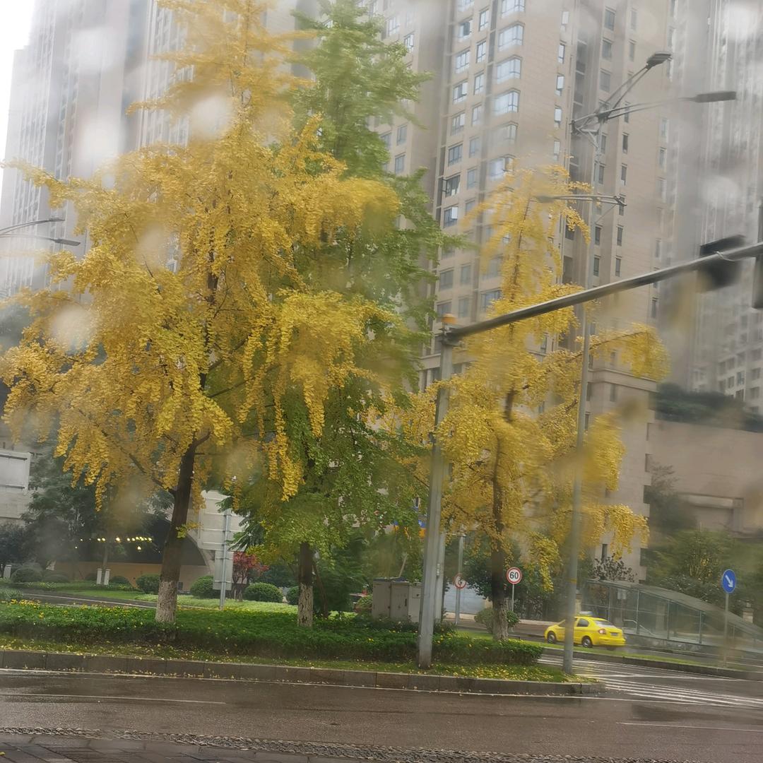小雨点。