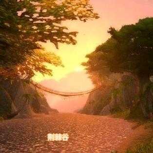 苔藓小李
