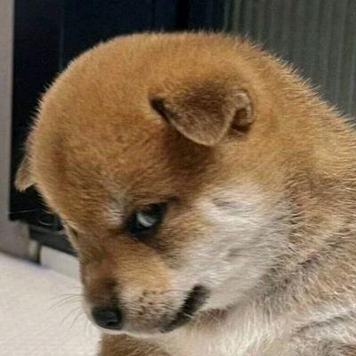 朕万人敬仰