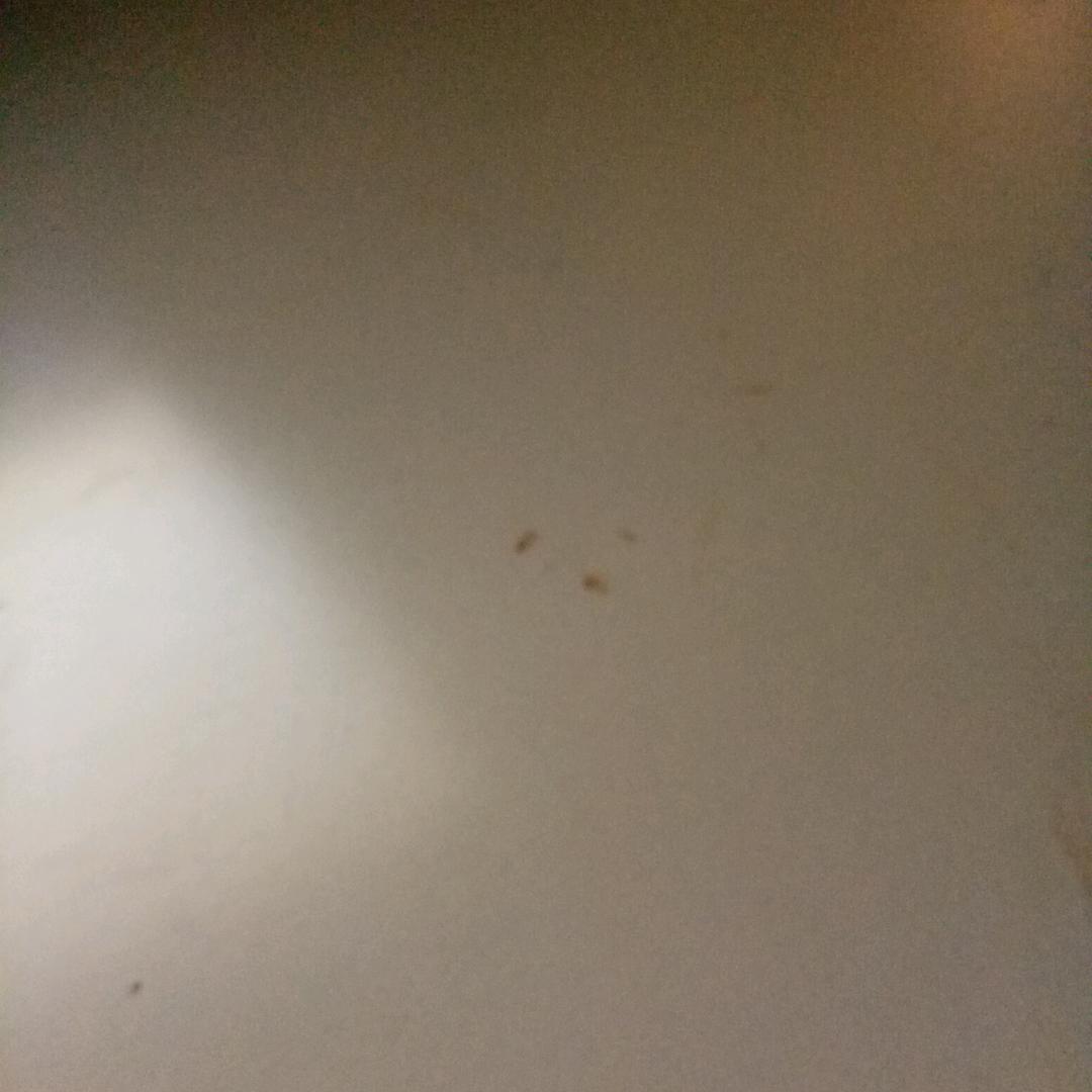 蜘蛛侠多大