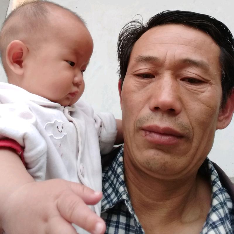 森林里的小树苗