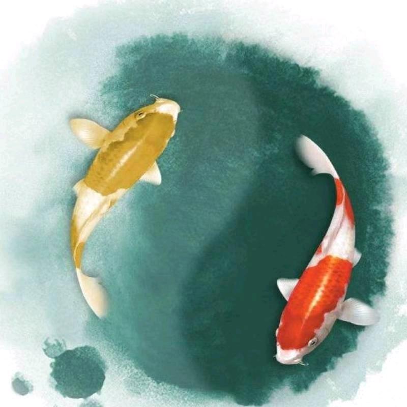 王志雄（自动化）