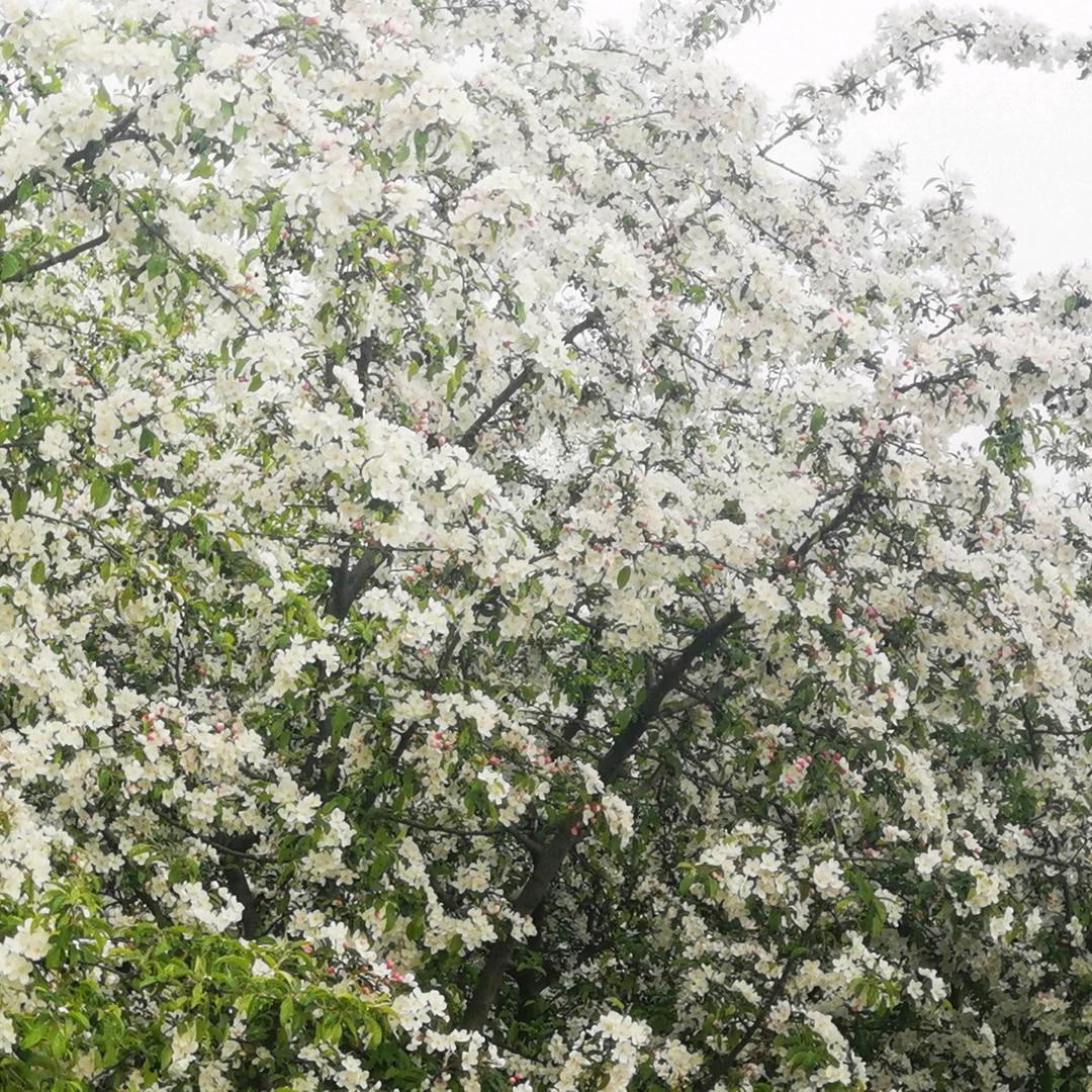 懂得珍惜，才配拥有！