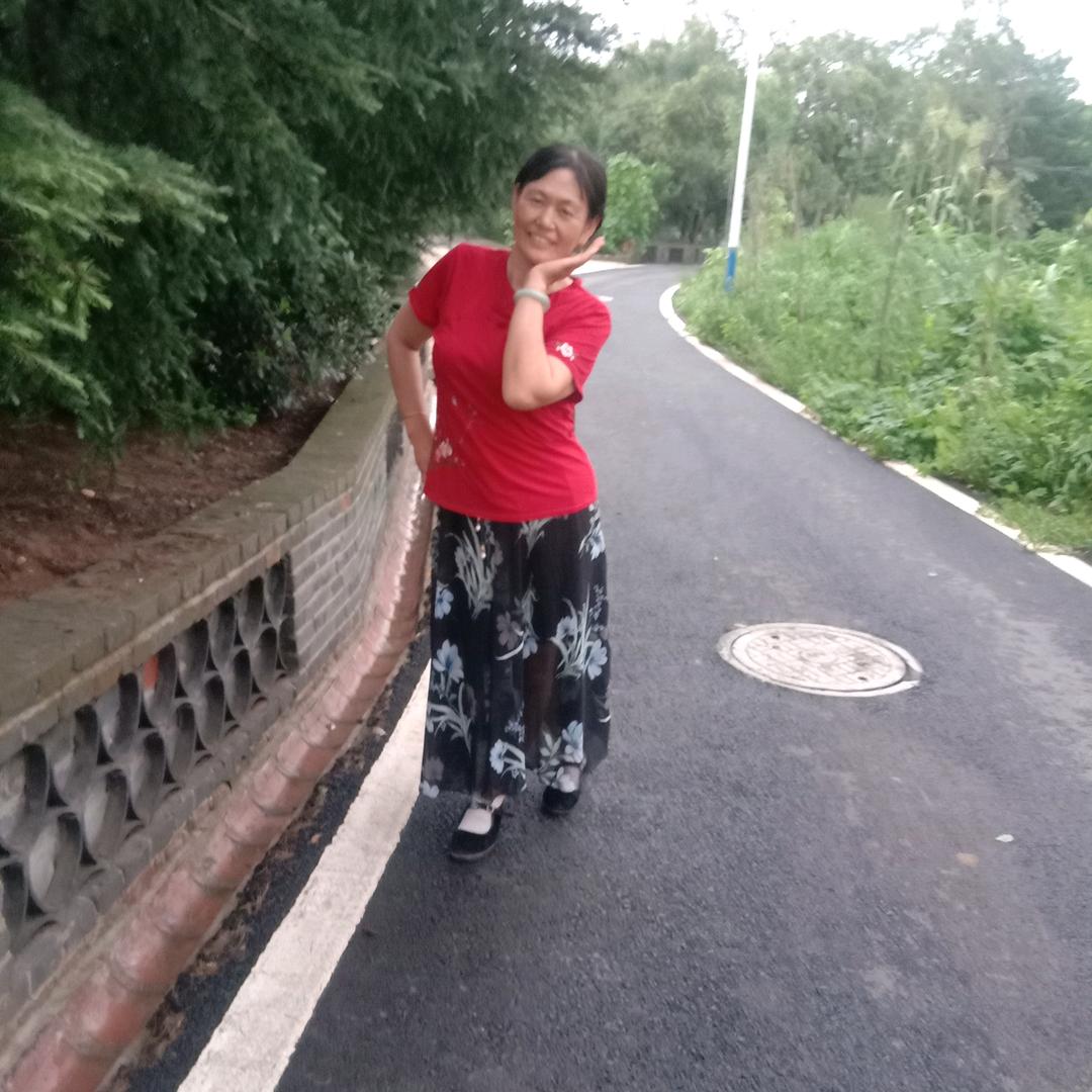 可爱琴
