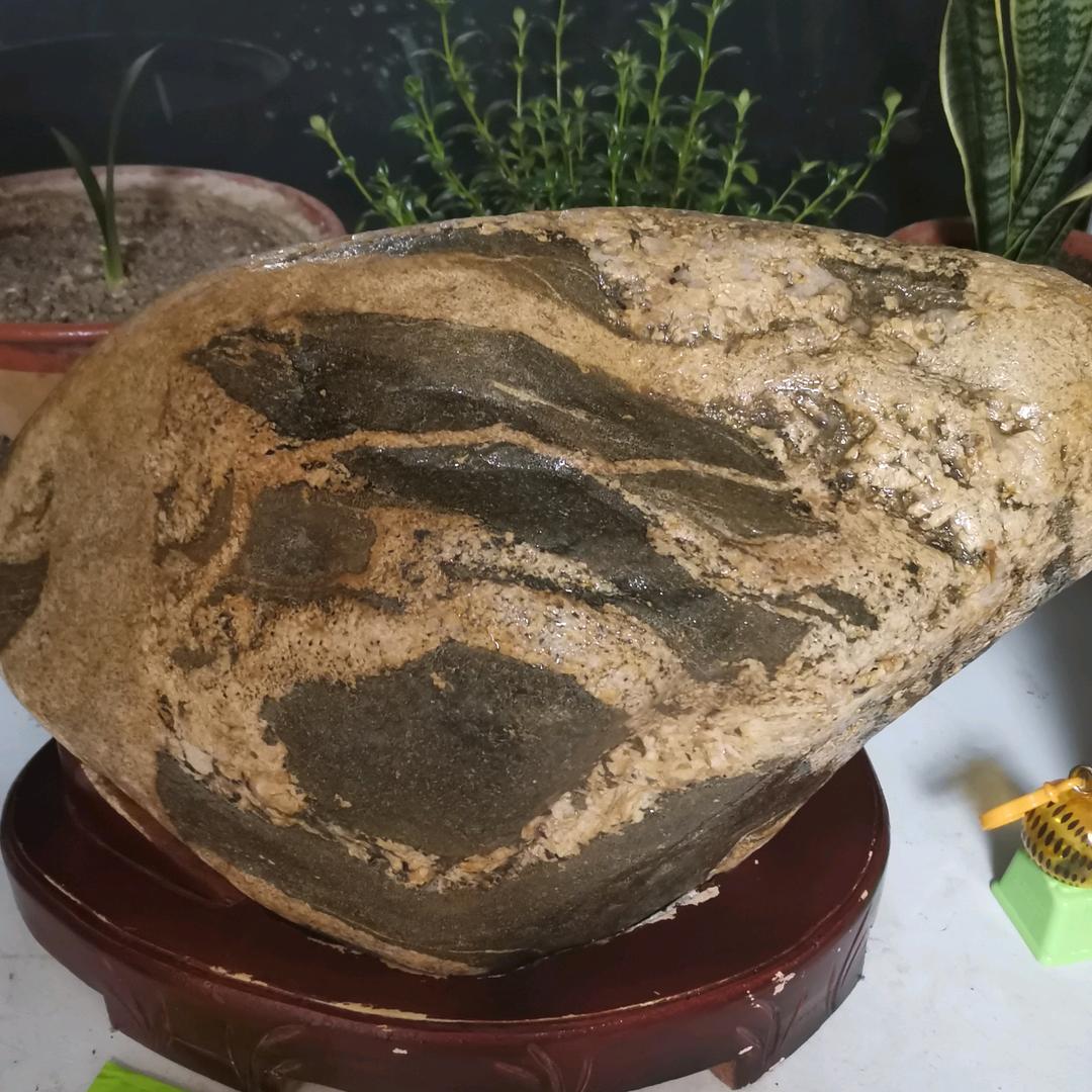 泰安睿佳装饰