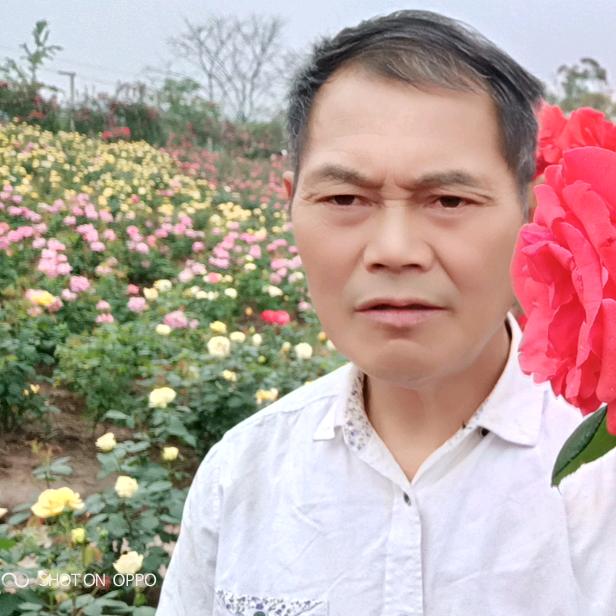 平元焊接树脂瓦安装