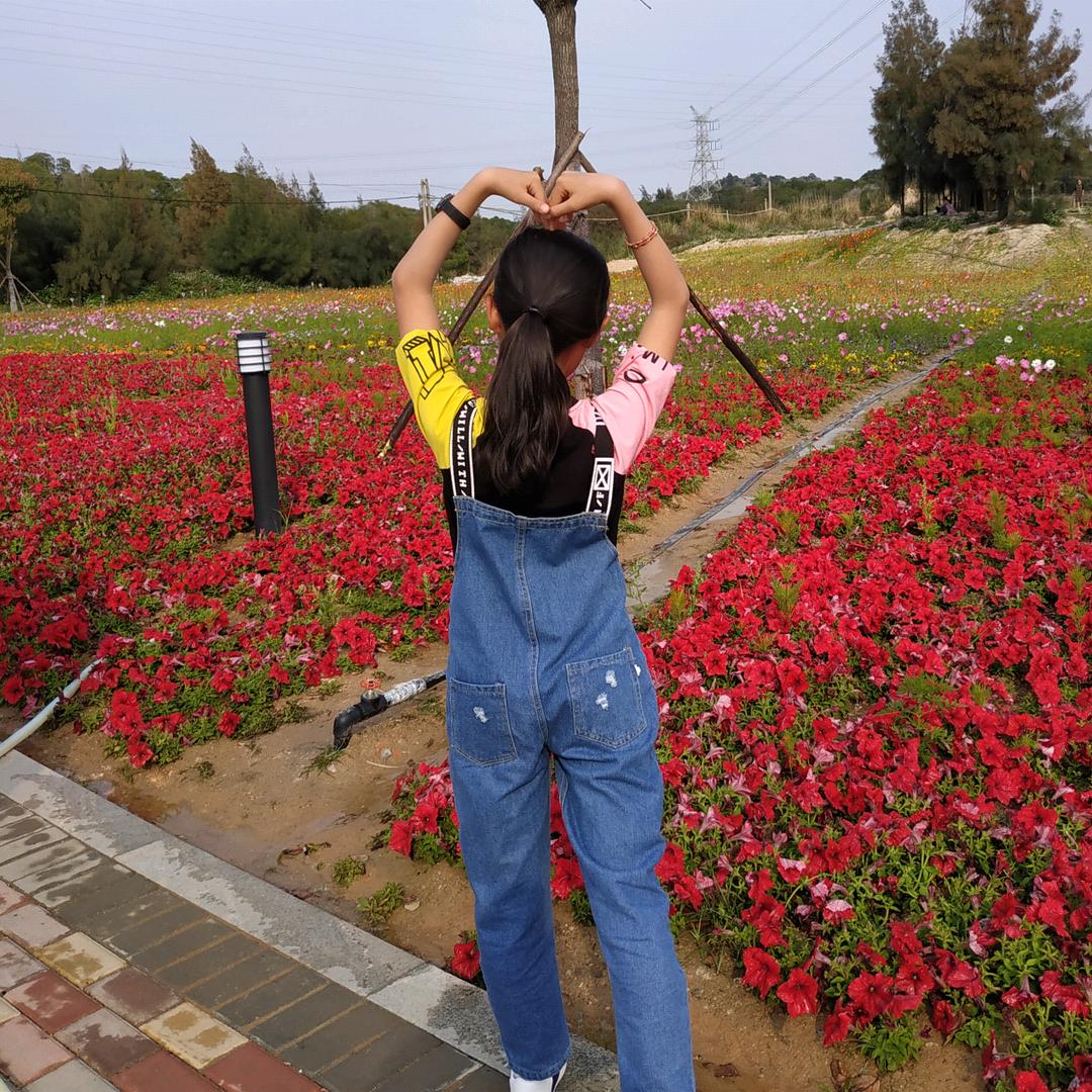 燕妮