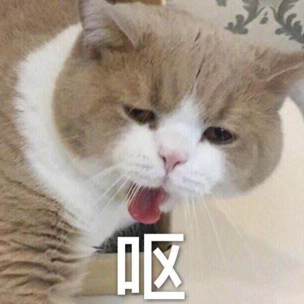 郑有趣学姐