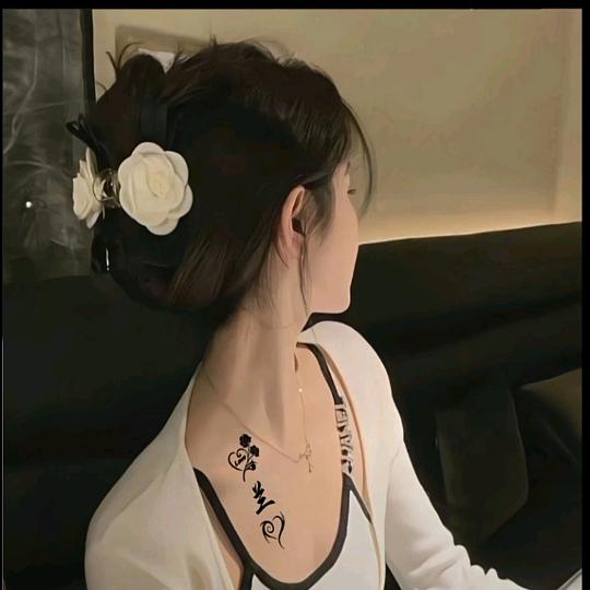 兰宝💕