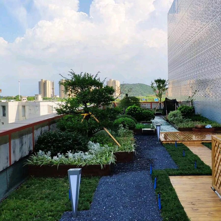 打奥特曼的怪兽