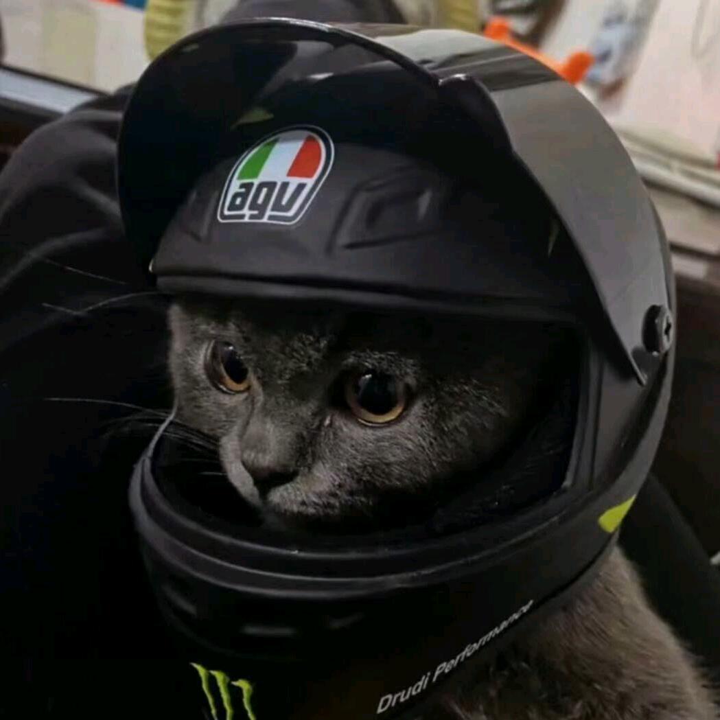 Fi.