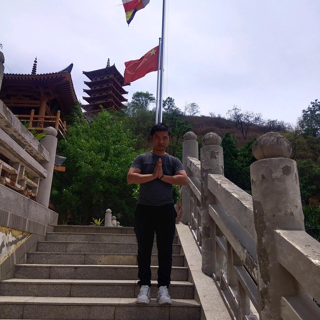 云南普洱茶之小双探茶之古树