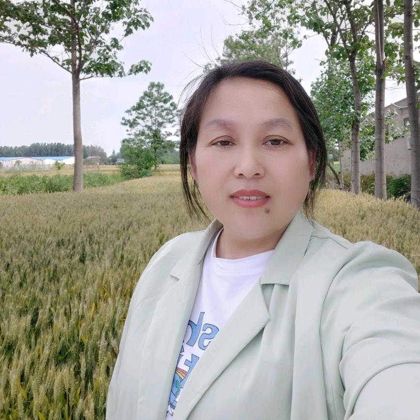 军伟专业烤鲶鱼碳锅老母鸡