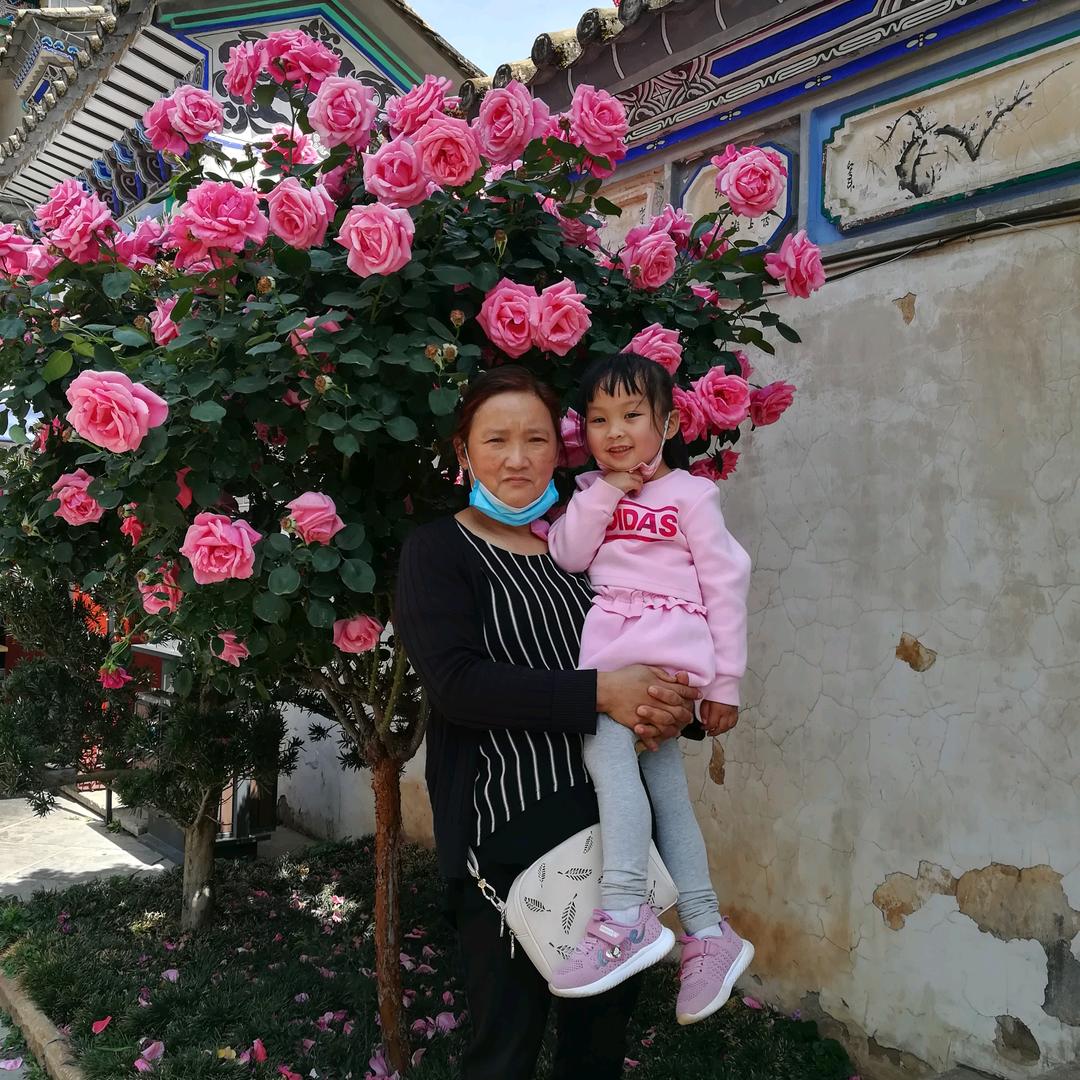 梅花香自苦寒来