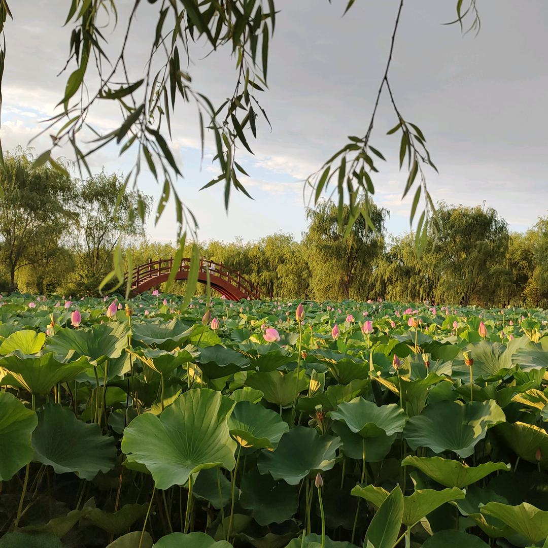 梁子user9523674761270