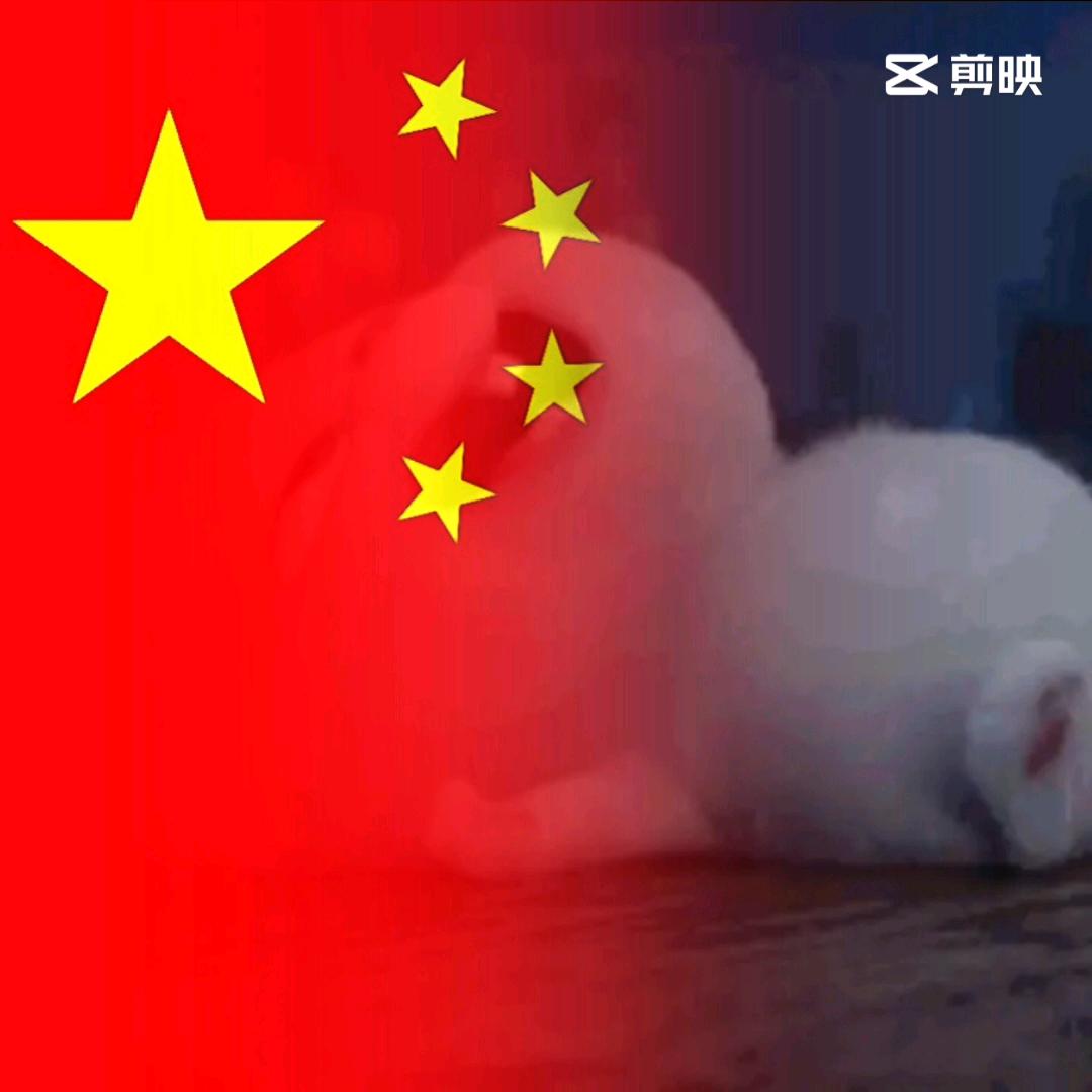 浮川几渡