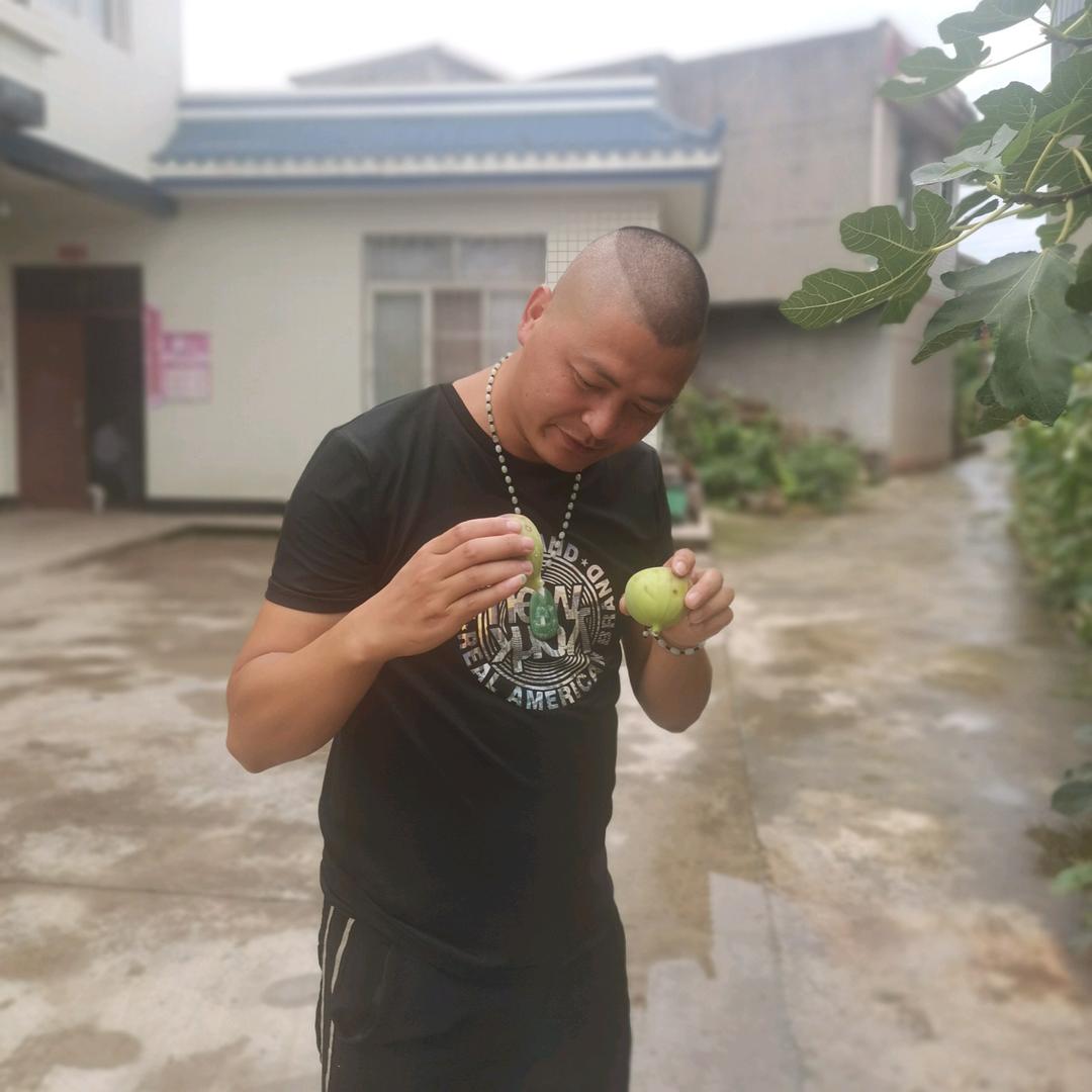 沾花花惹草草