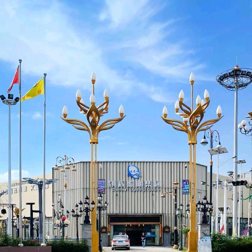 中山市镇辉照明有限公司