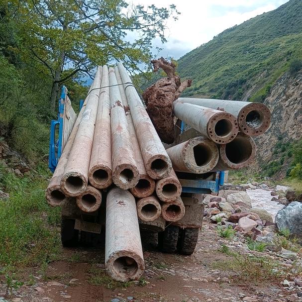 天若有情天亦老7810