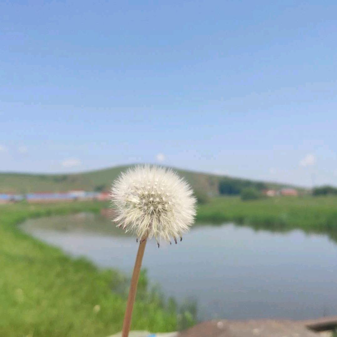 依旧
