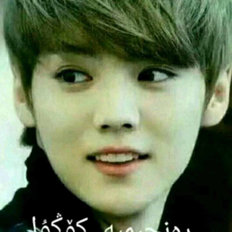 塞尔朋