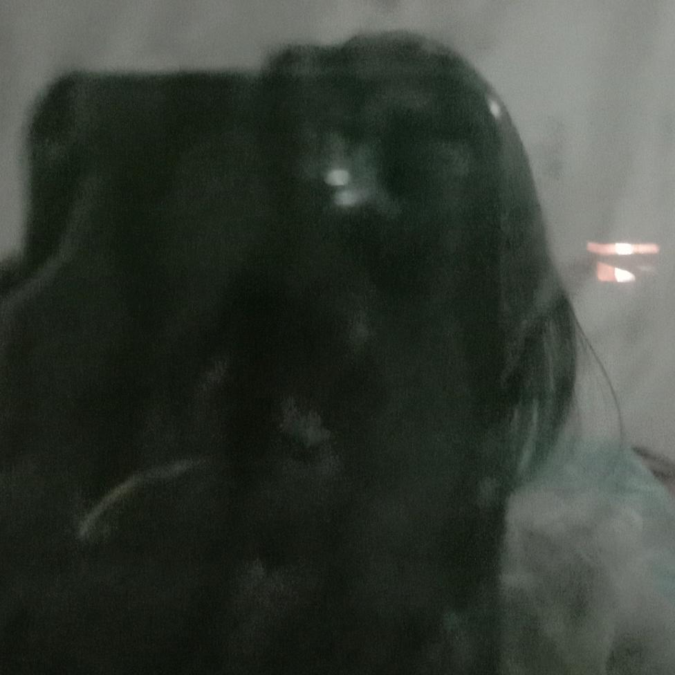 我不需要偏爱