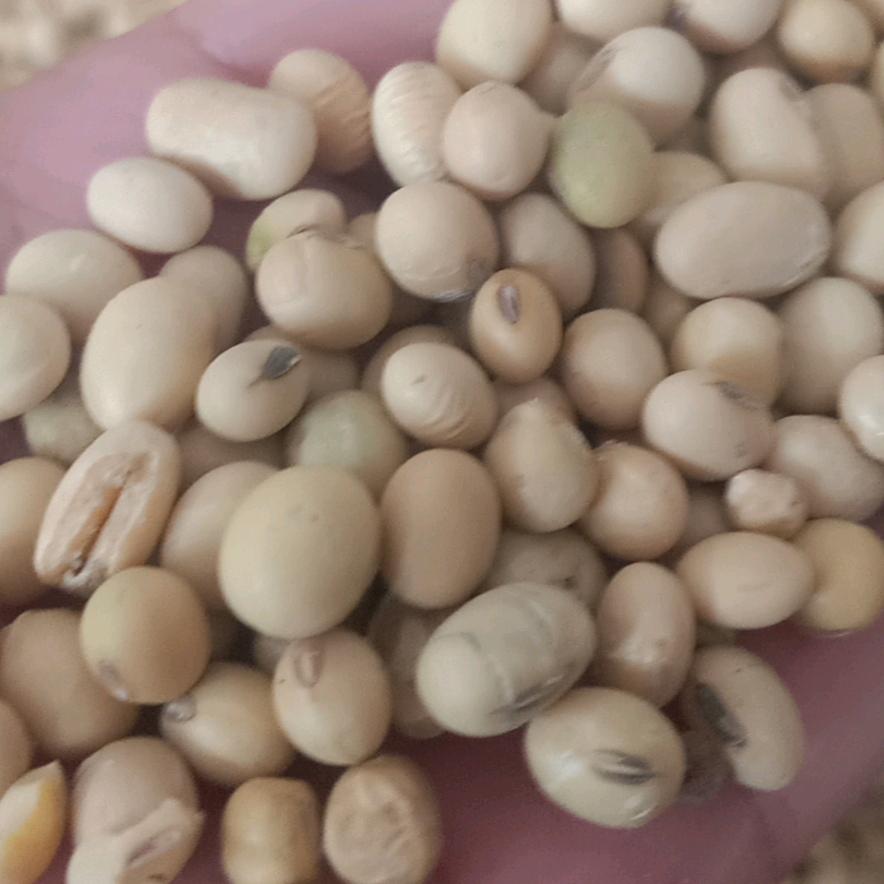 用户最熟悉的陌生人
