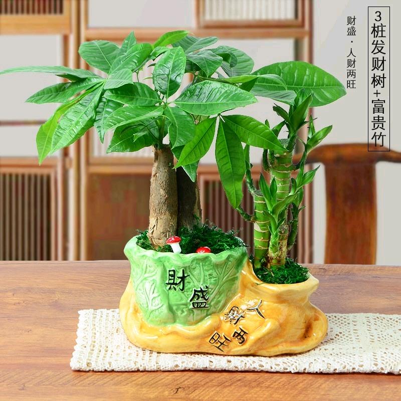 浪子哥