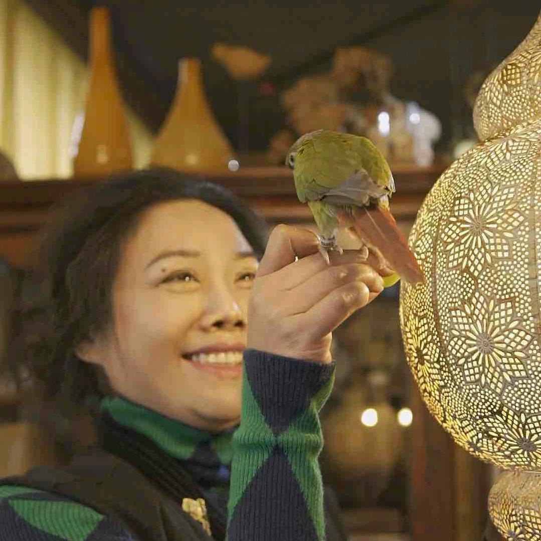 小林的日子里