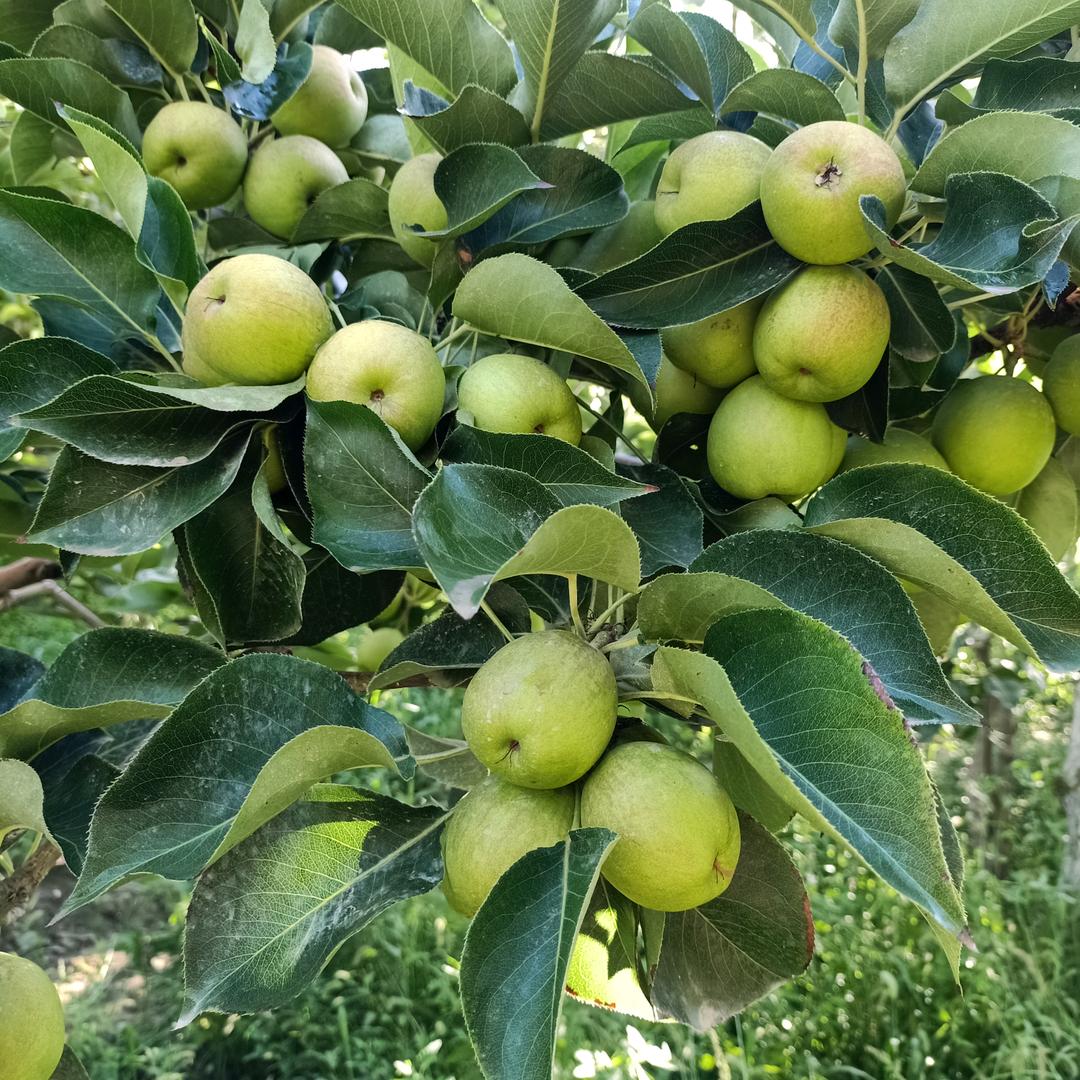 社会复杂也简单