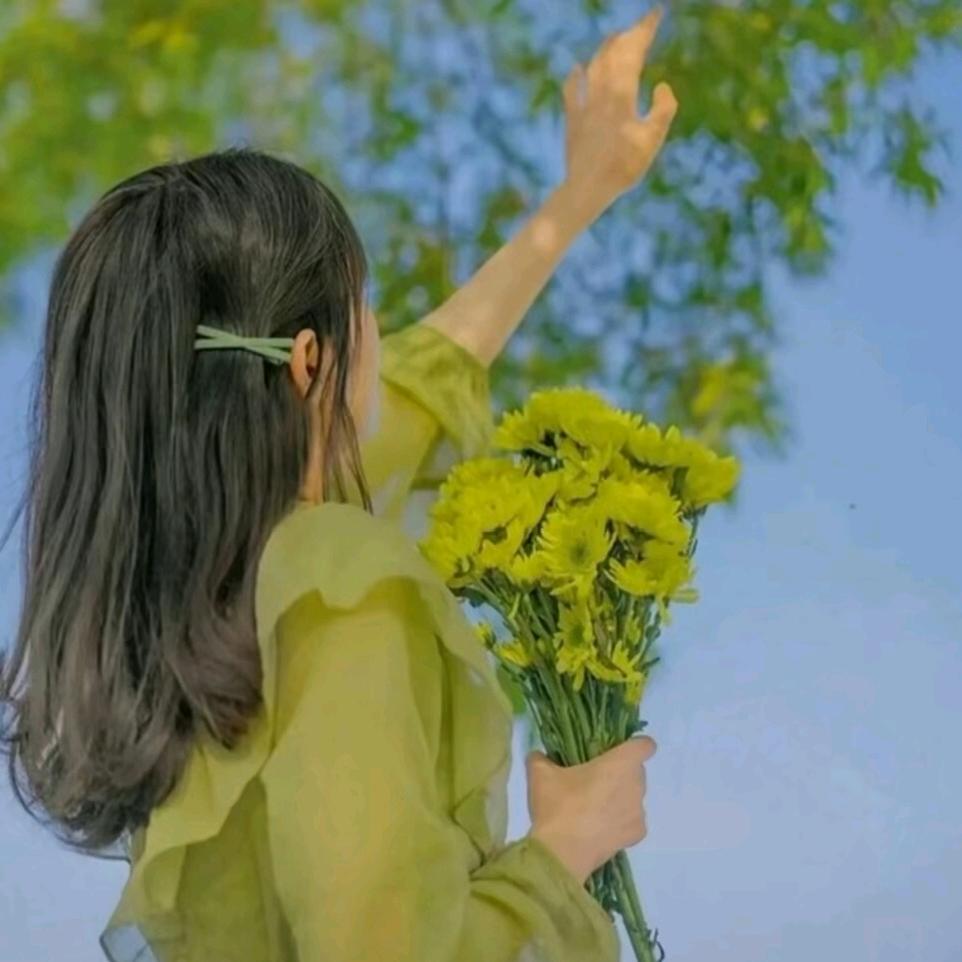 鱼的记忆