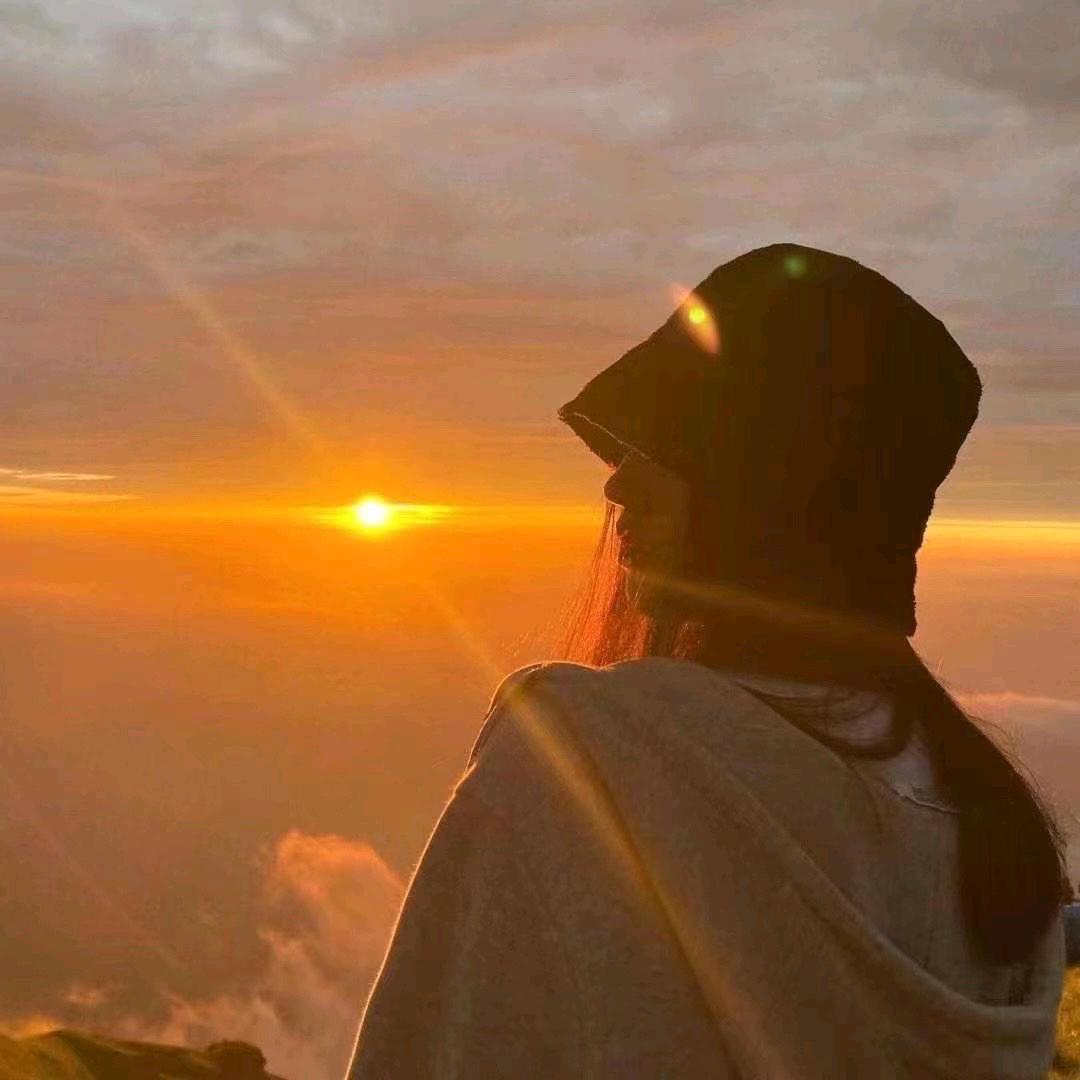 %不念过往$238661148