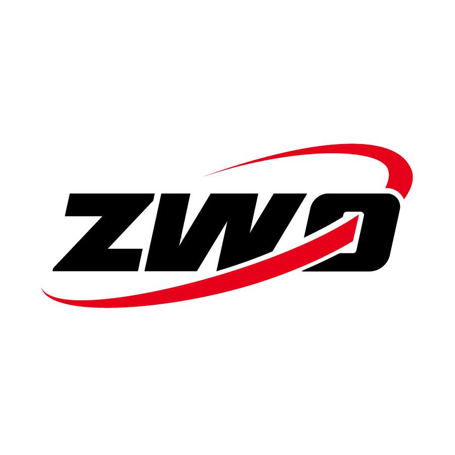 ZWO户外