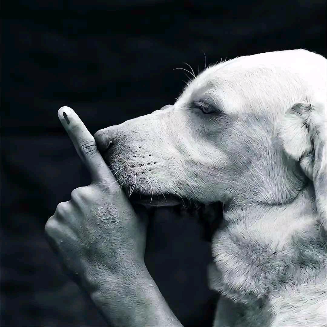 给你比个耶
