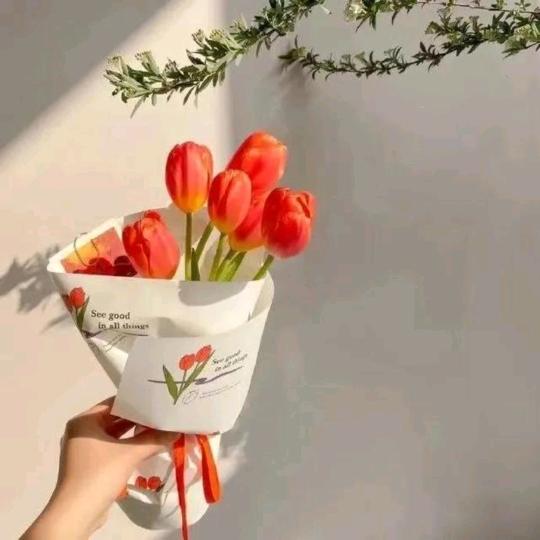 简丹