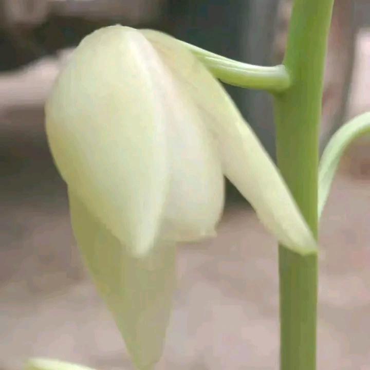 普洱临沧网约车